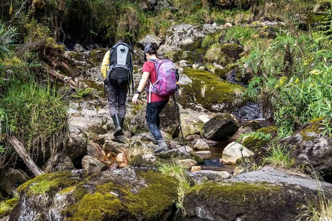 Hikers crossing a rocky stream on the trail