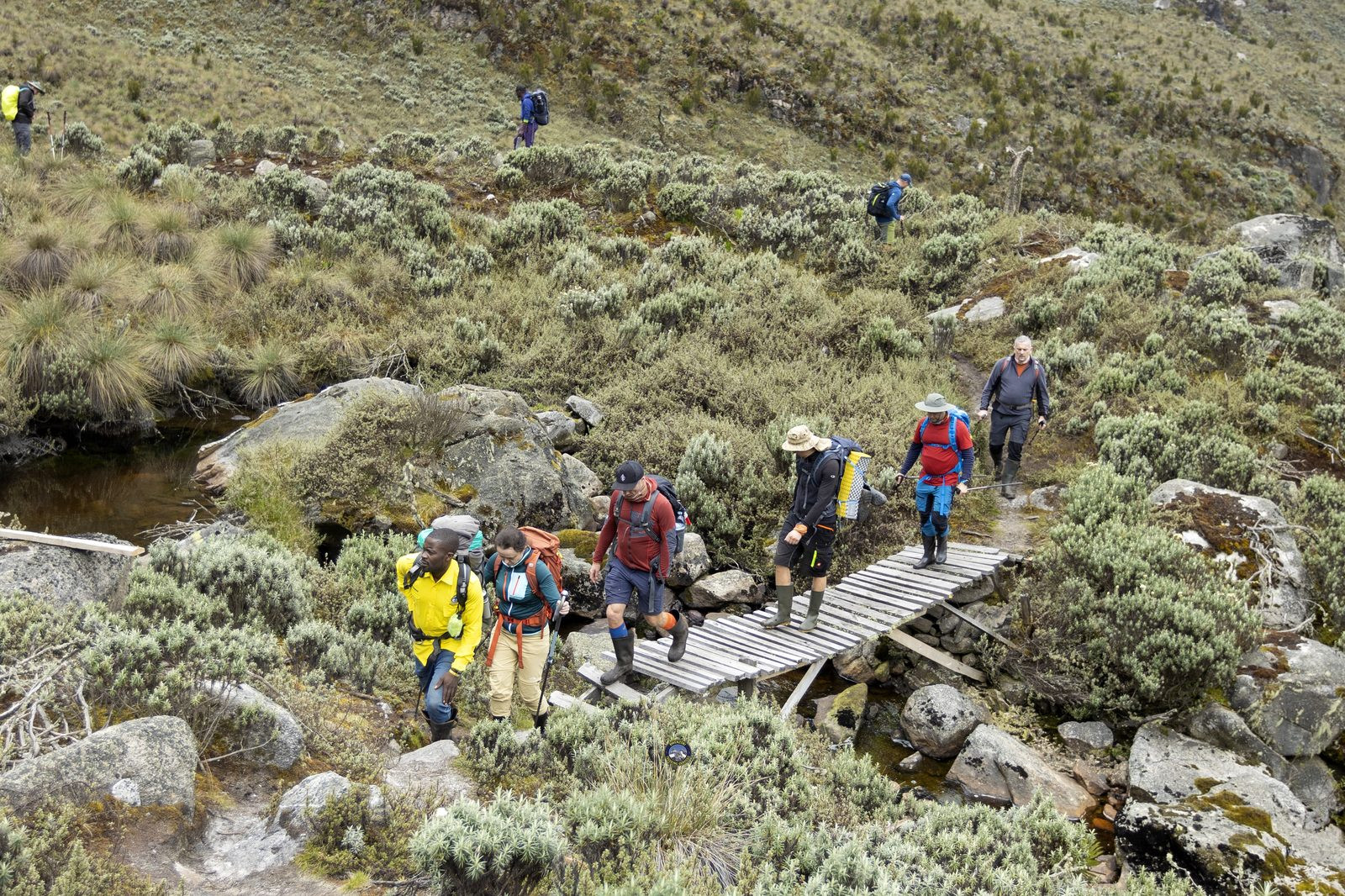 Hikers crossing a wooden bridge over a mountain stream