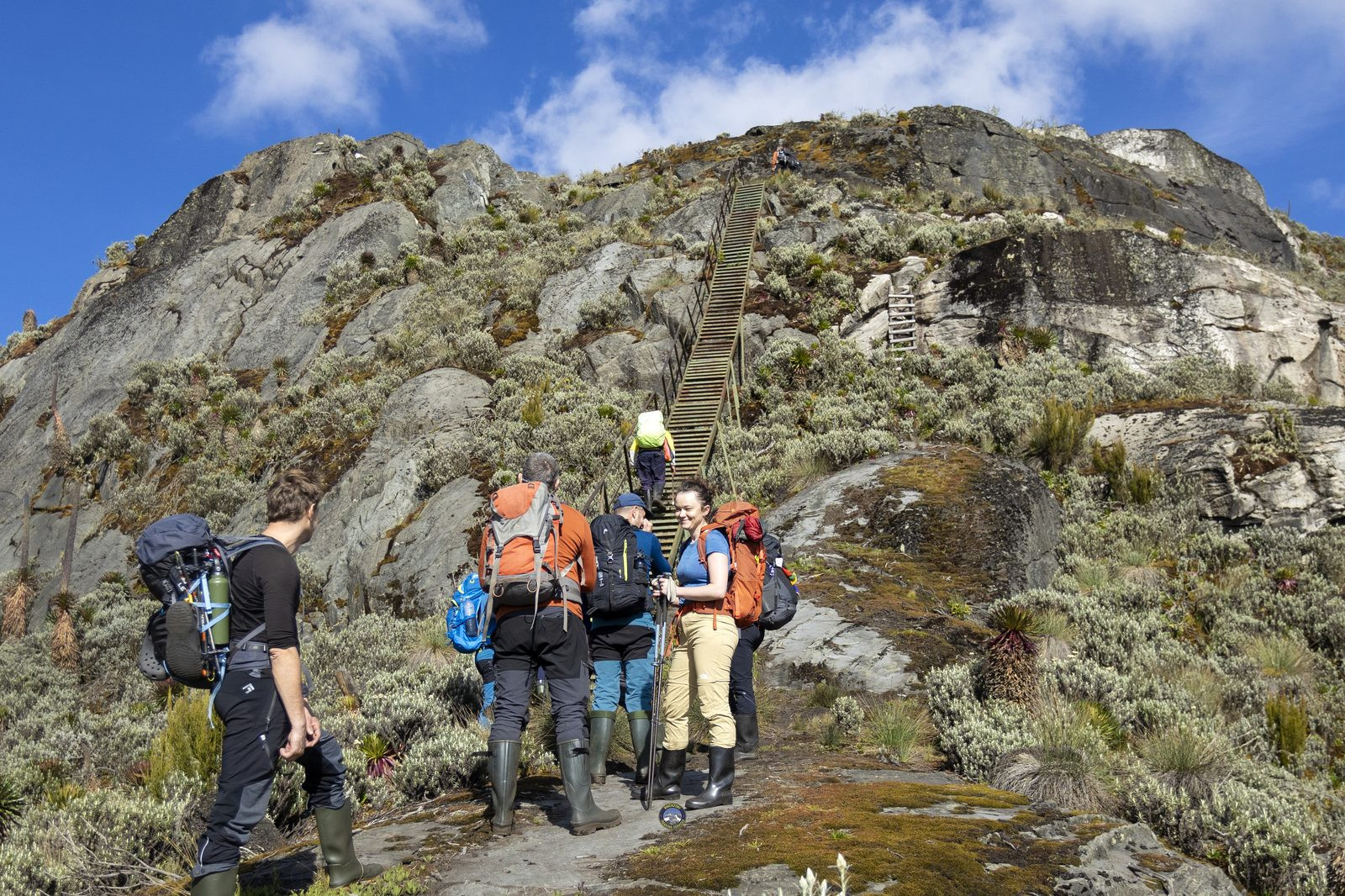 Hikers climbing a wooden staircase up a rocky peak