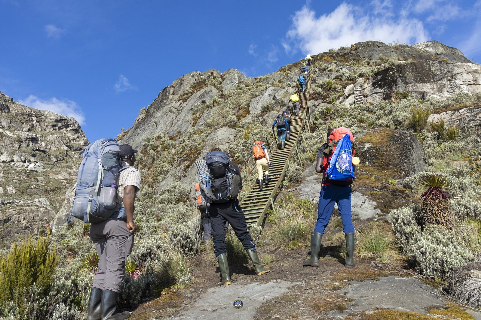 Trekking group ascending the mountain staircase