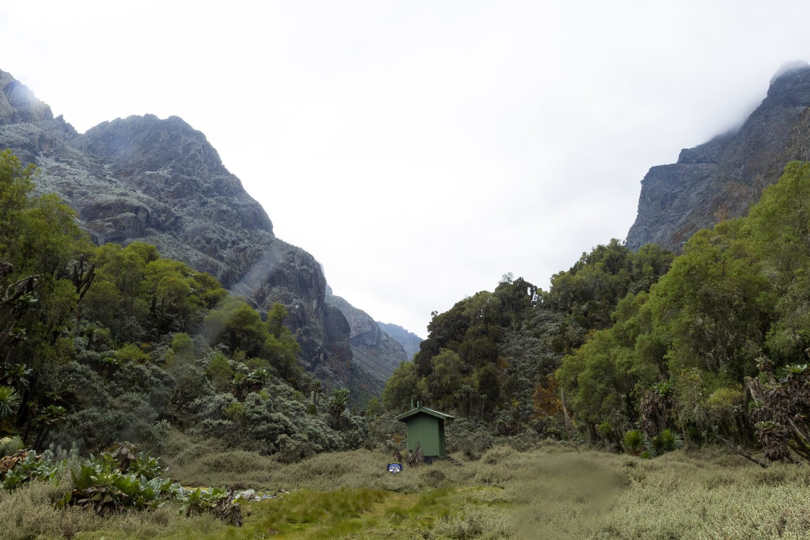 Green mountain hut tucked between misty peaks