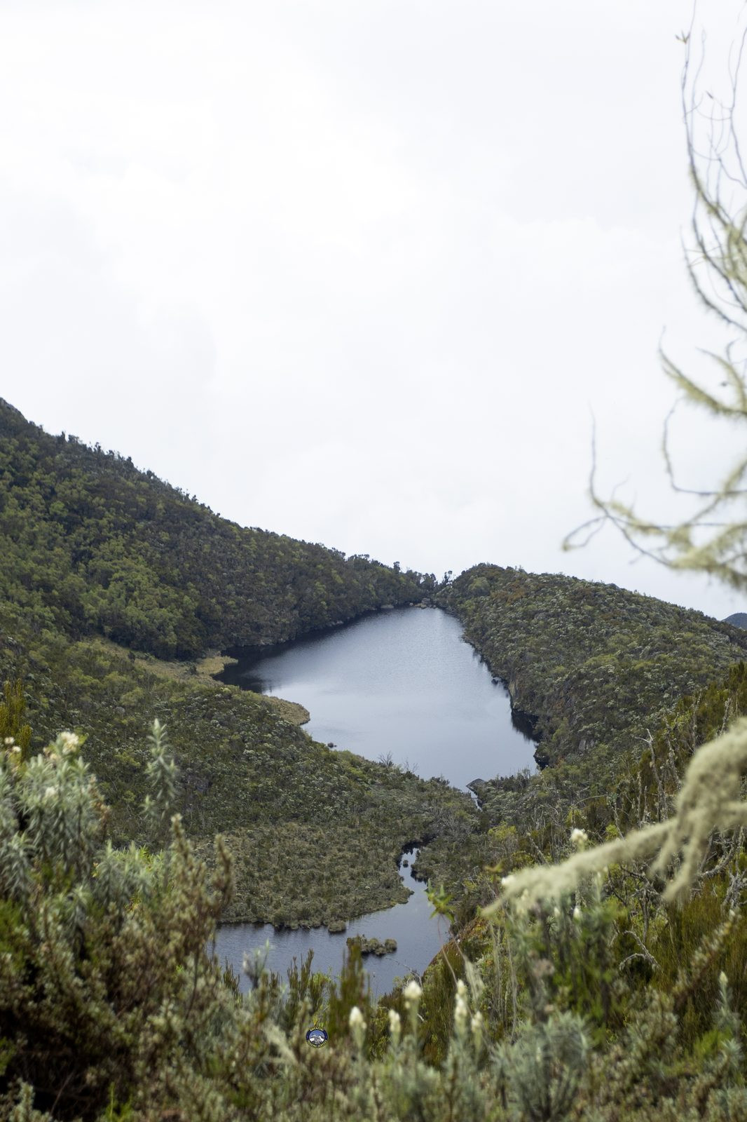 Mountain lake nestled among green hills