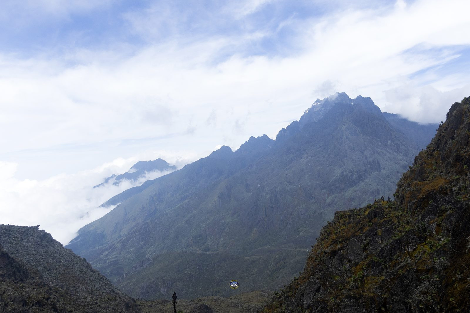 Mountain peaks rising above a sea of clouds